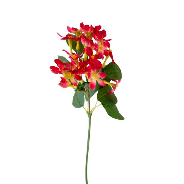 Flower BANANA SHRUB 37cm fuchsia