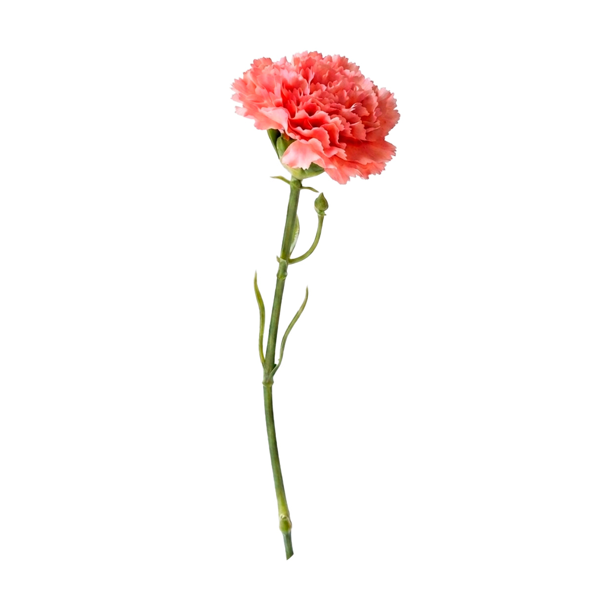 Flower CARNATION 30cm pink