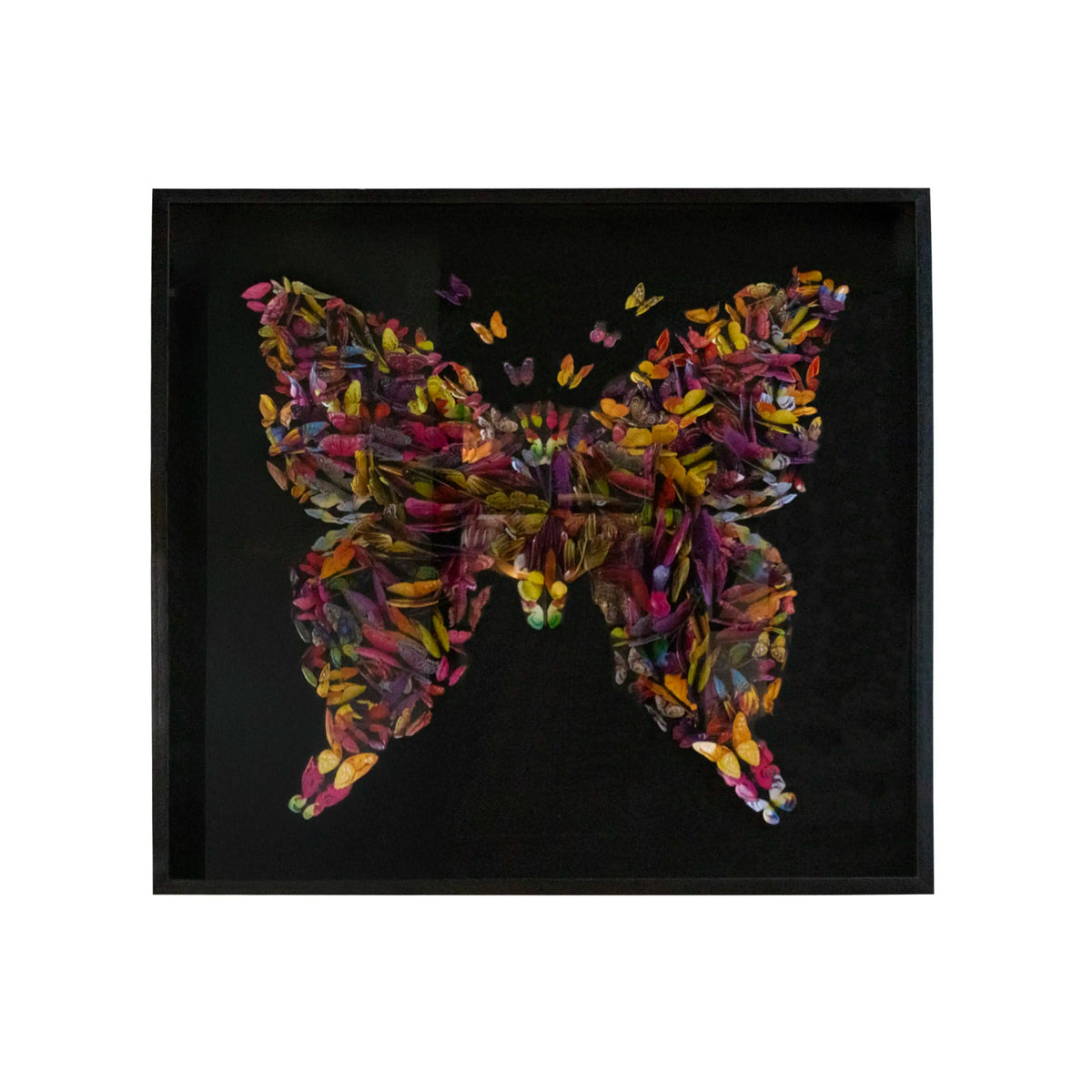 Wall art multi color butterflies 120x120x6