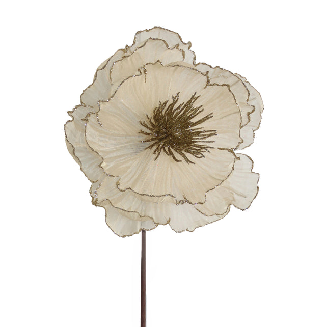 Blume WEIHNACHTSSTERN 57cm champagner