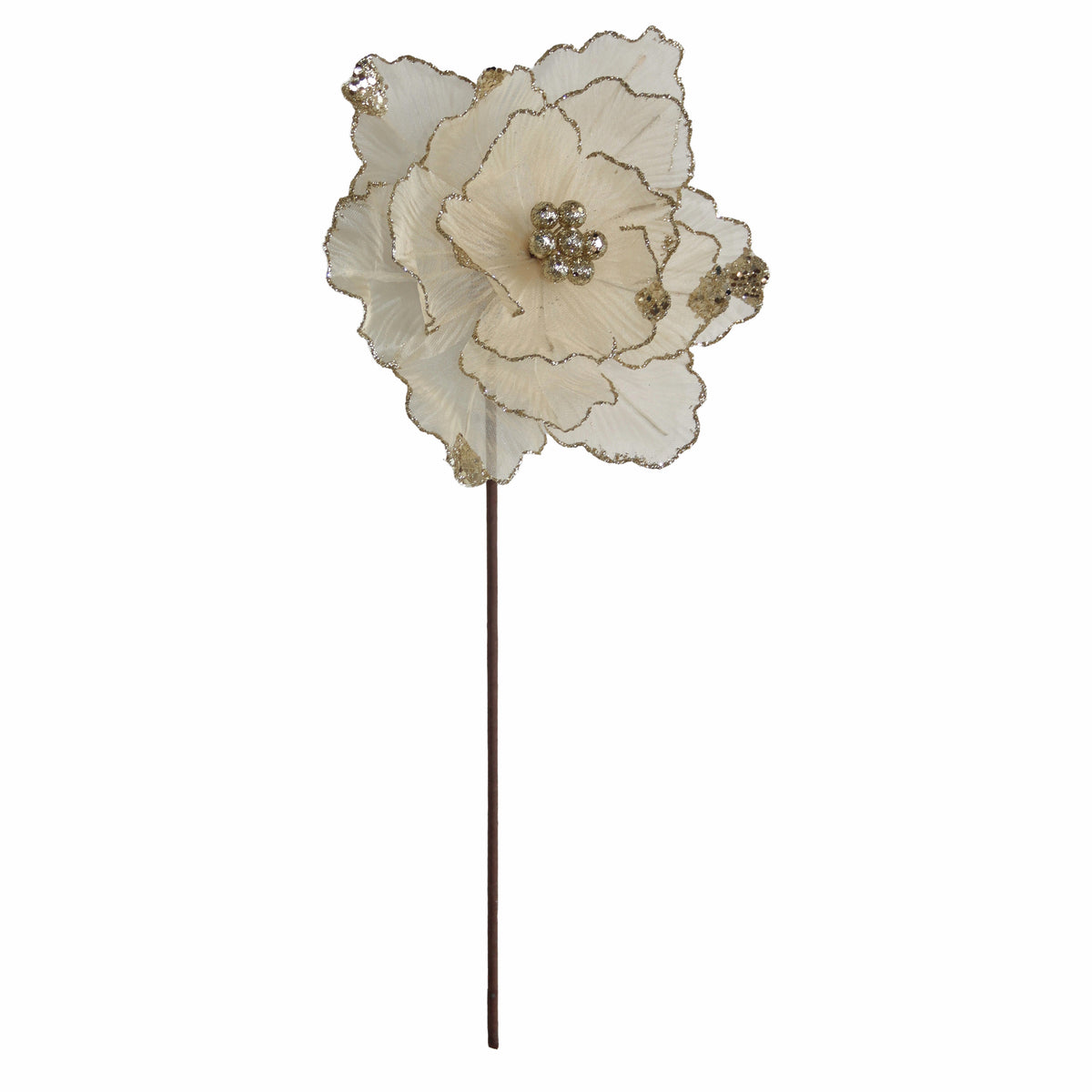 Blume WEIHNACHTSSTERN 58cm champagner
