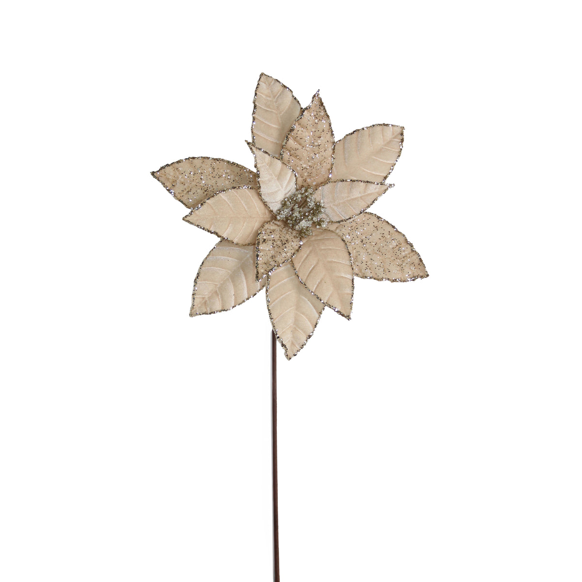 Blume WEIHNACHTSSTERN 60cm Champagner