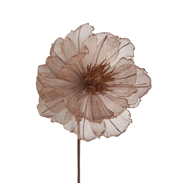 Blume WEIHNACHTSSTERN 57cm braun