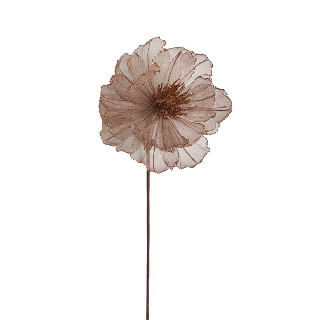 Blume WEIHNACHTSSTERN 57cm braun
