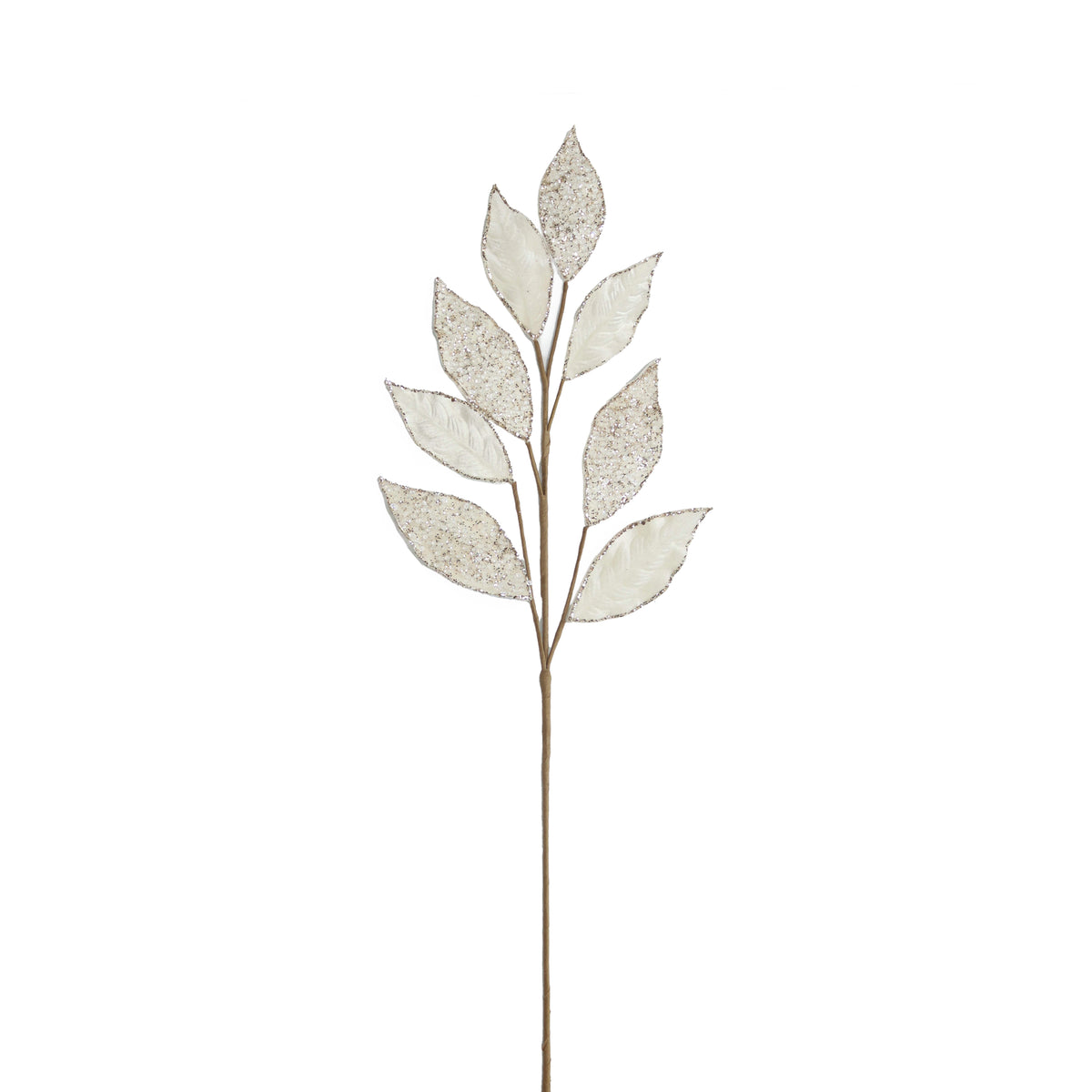 Stiel KRÄUTER 73cm beige