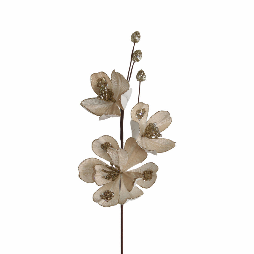 Blume WEIHNACHTSSTERN 60cm champagner