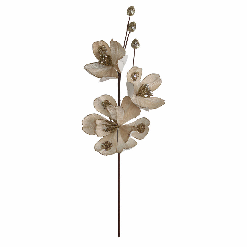 Blume WEIHNACHTSSTERN 60cm champagner