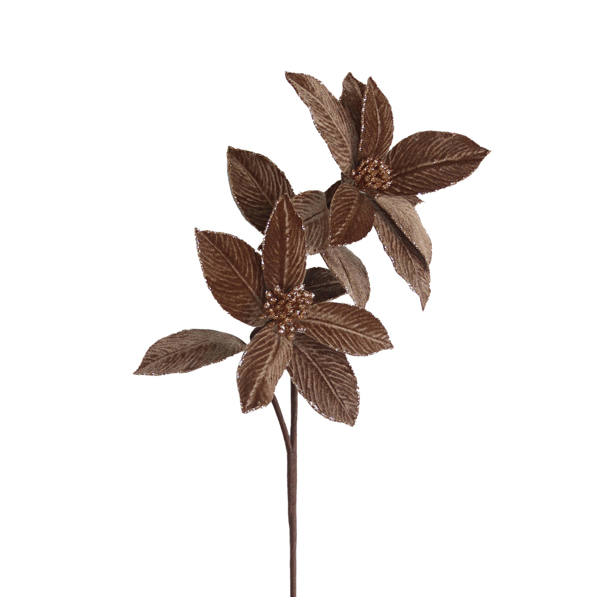 Flower POINSETTIA 68cm brown