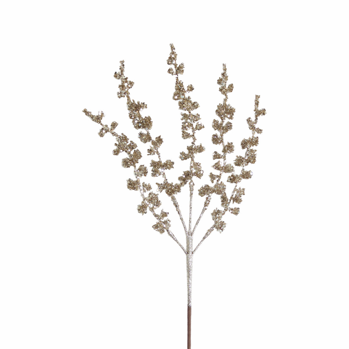 Stem NEEDLE 69cm champagne