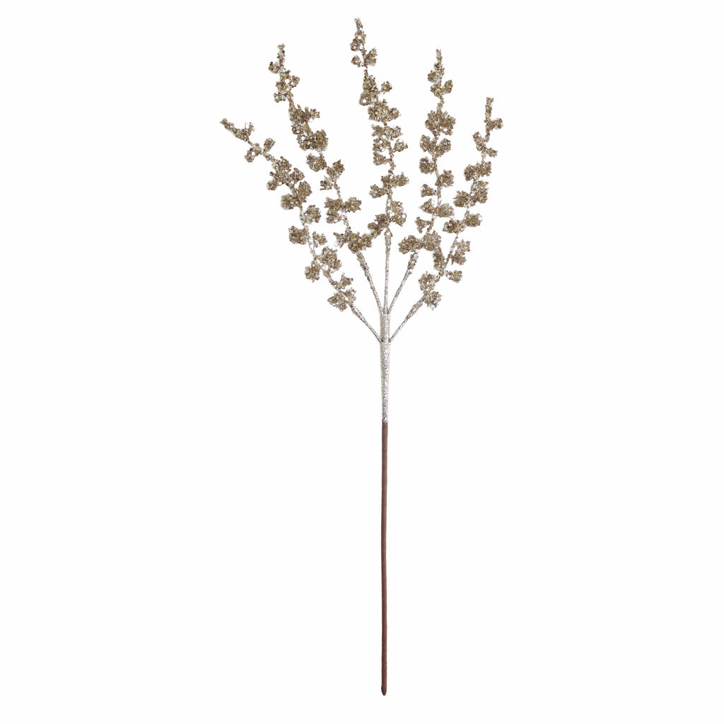 Stengel NAALD 69cm champagne