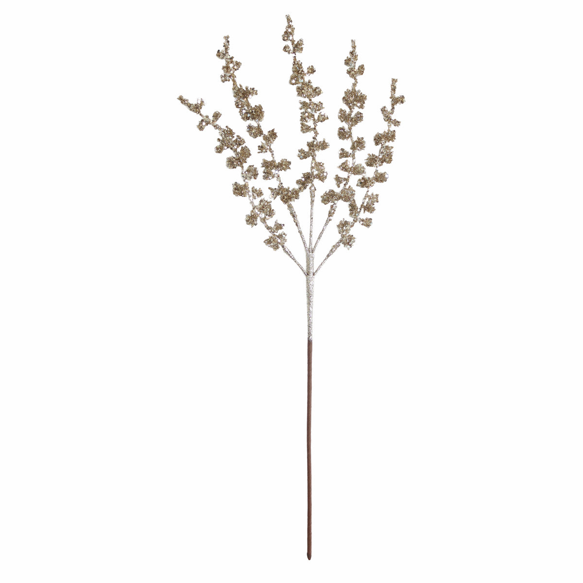 Stengel NAALD 69cm champagne