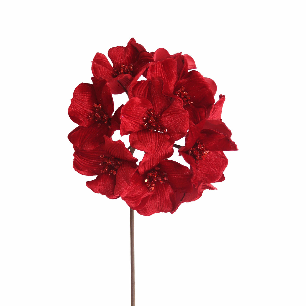 Blume POINSETTIA 57cm rot – Colmore