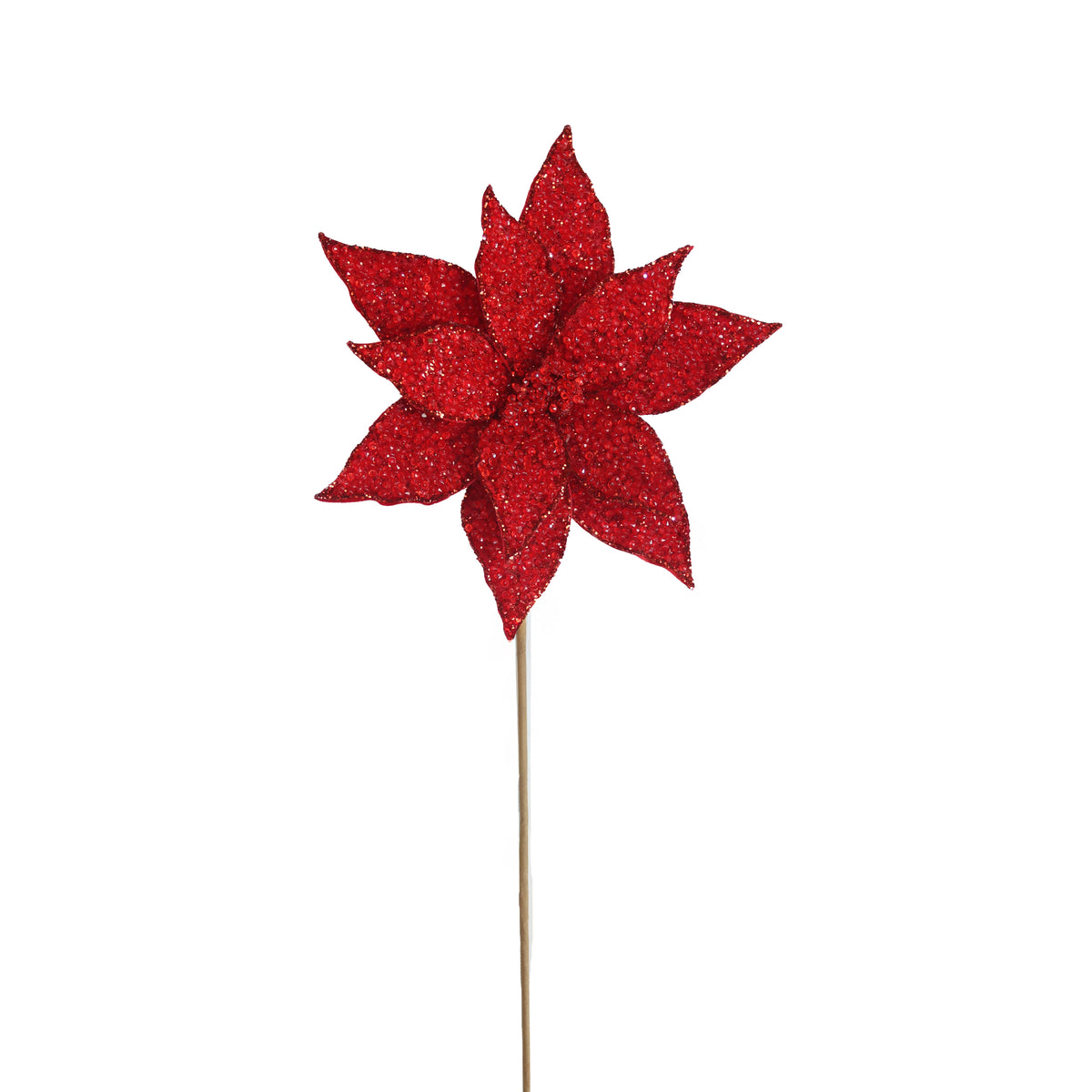Bloem POINSETTIA 60cm rood
