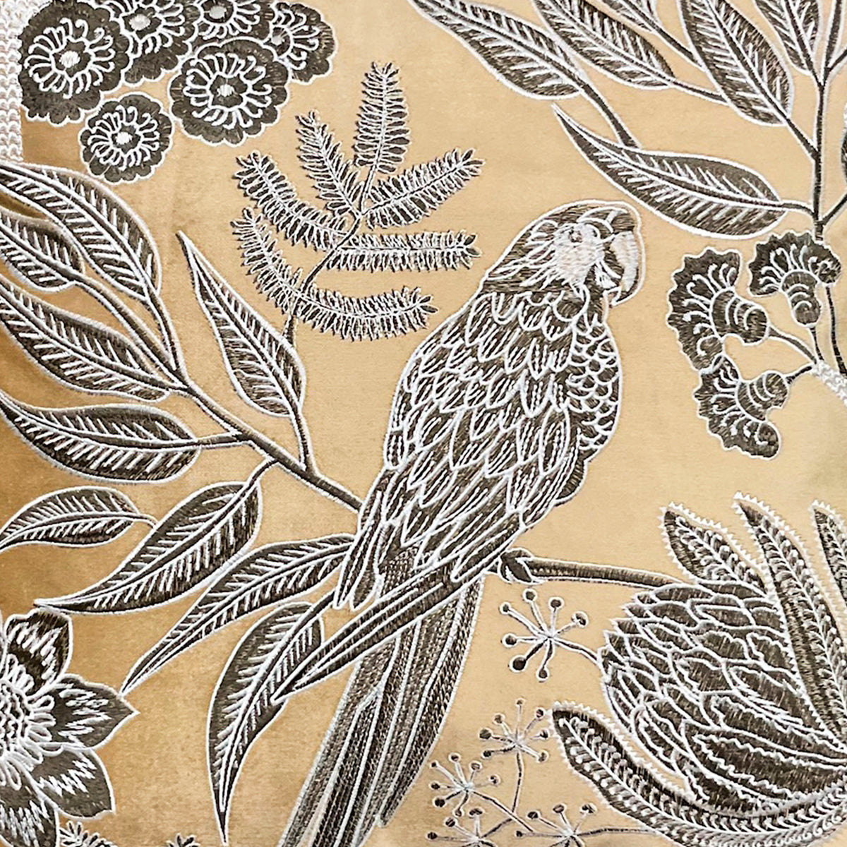 Cushion bird natural velvet VI/CO 50x50