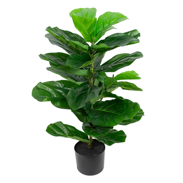 Plant FIDDLE PU 80cm