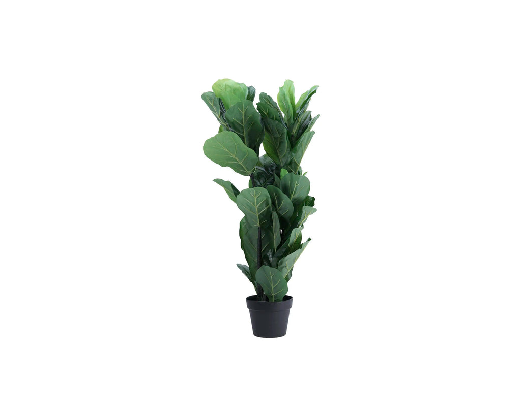 Plant fiddle leaf  PU 95cm