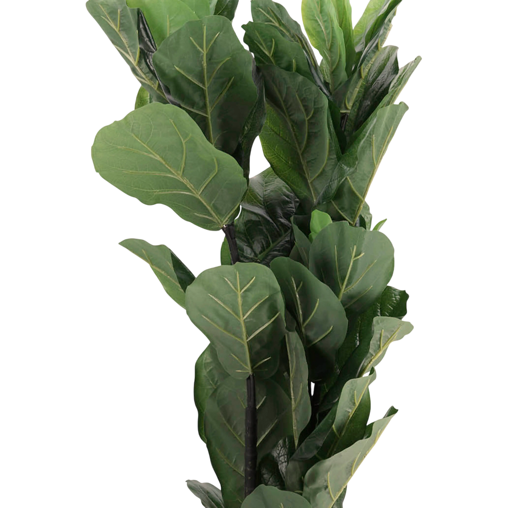 Plant fiddle leaf  PU 95cm