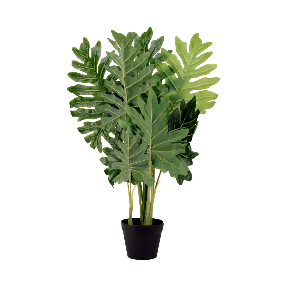 Plant philodendron PU 110cm