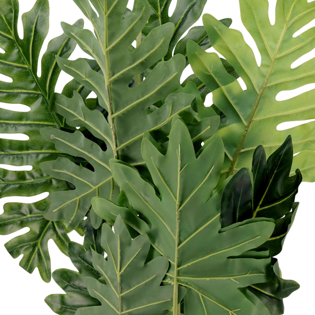 Plant philodendron PU 110cm