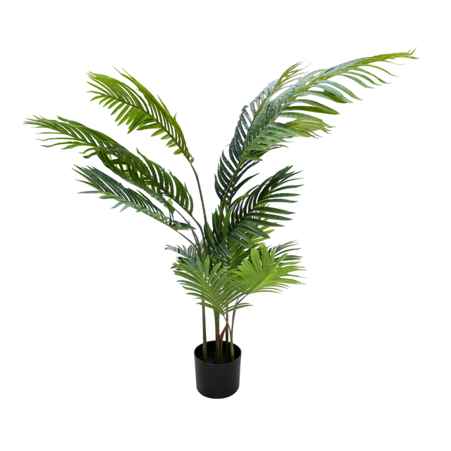 Plant Goldencane palm 120cm