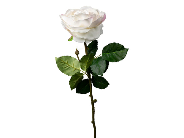Flower rose white 76cm