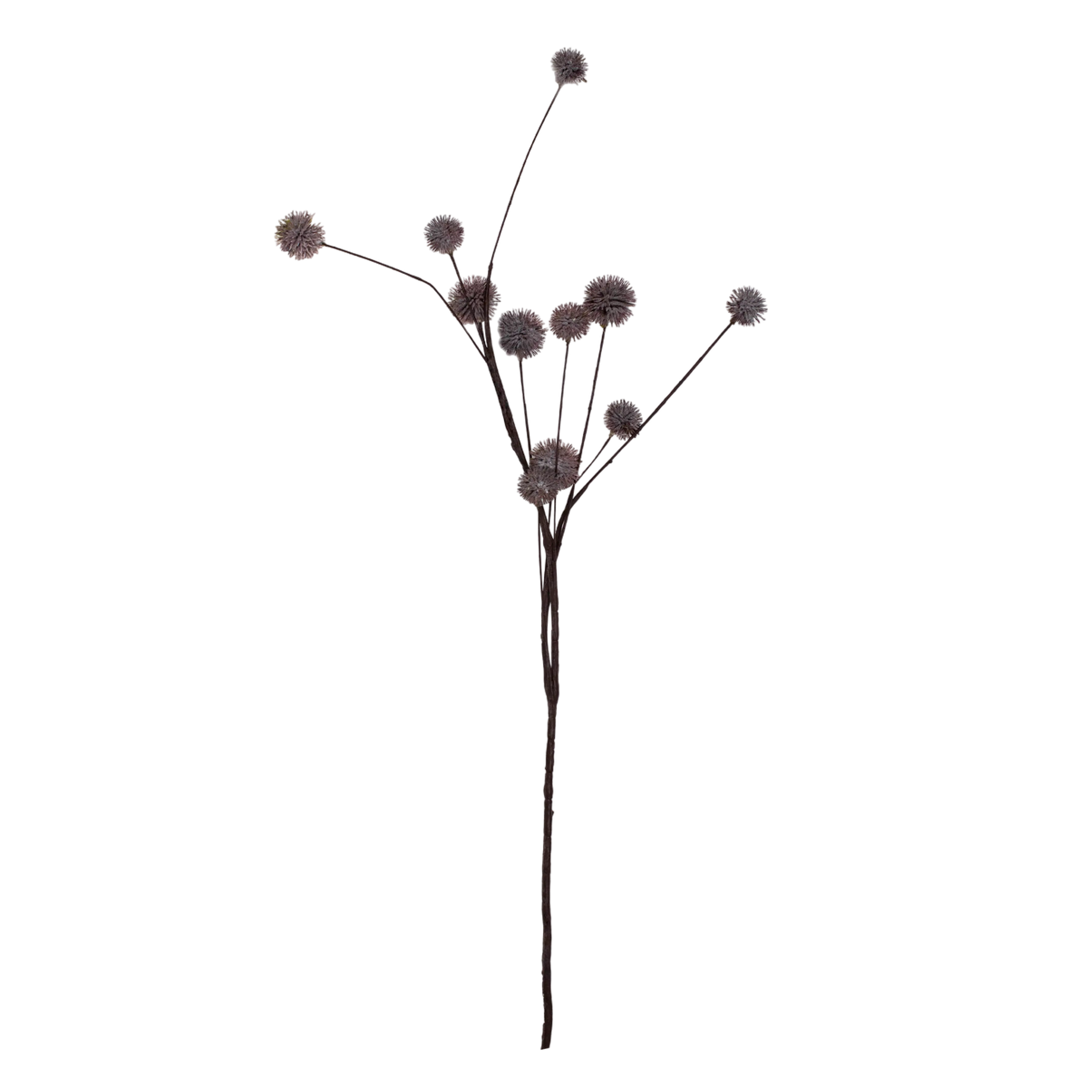 Flower taraxacum purple 90cm