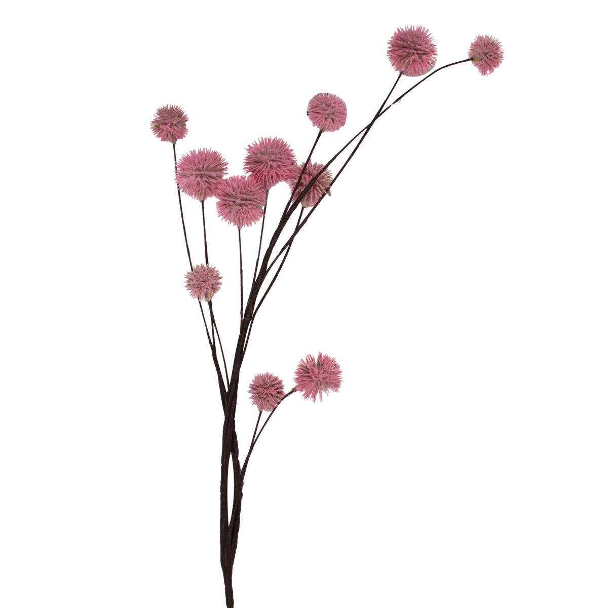 Flower taraxacum pink 90cm