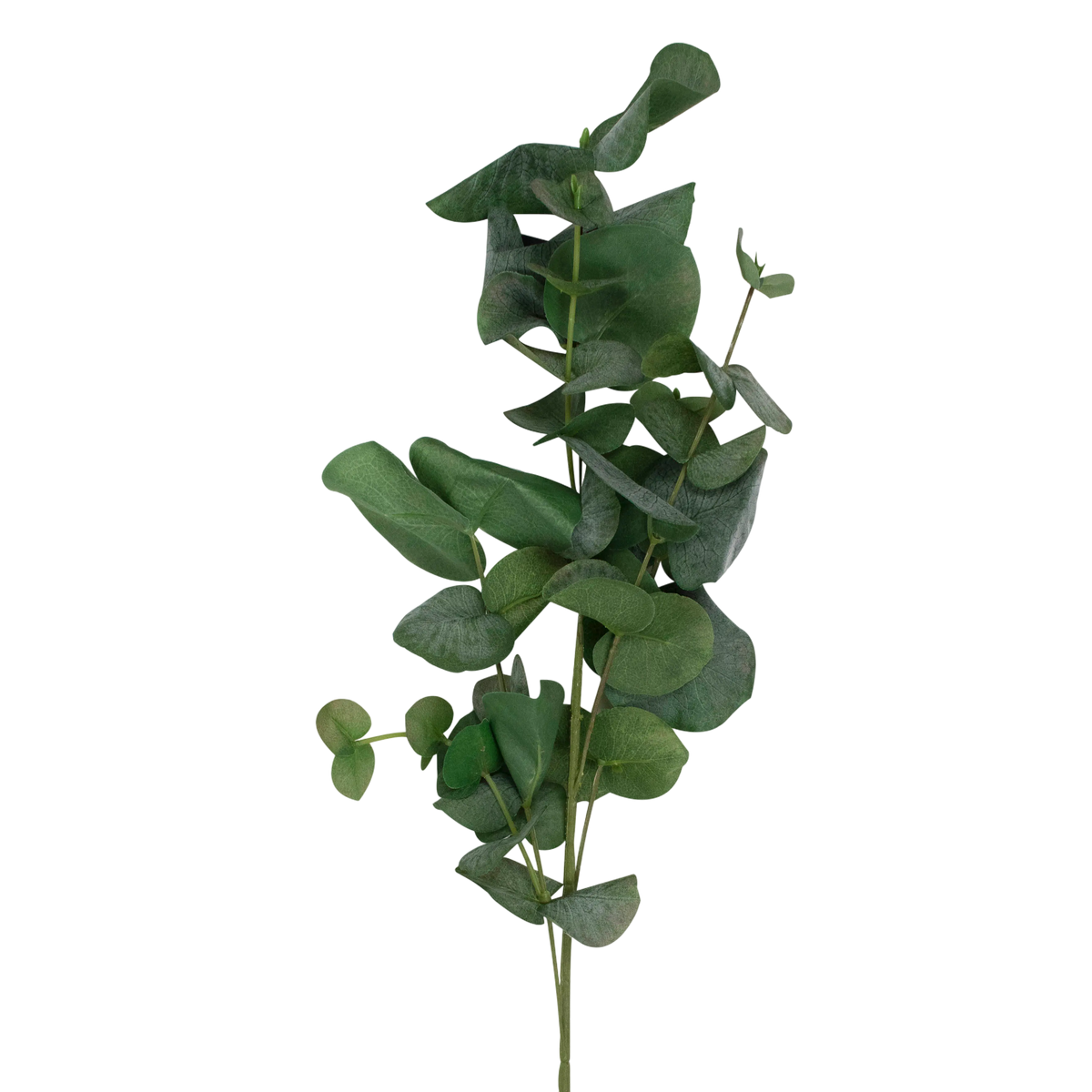 Flower eucalyptus green 88cm