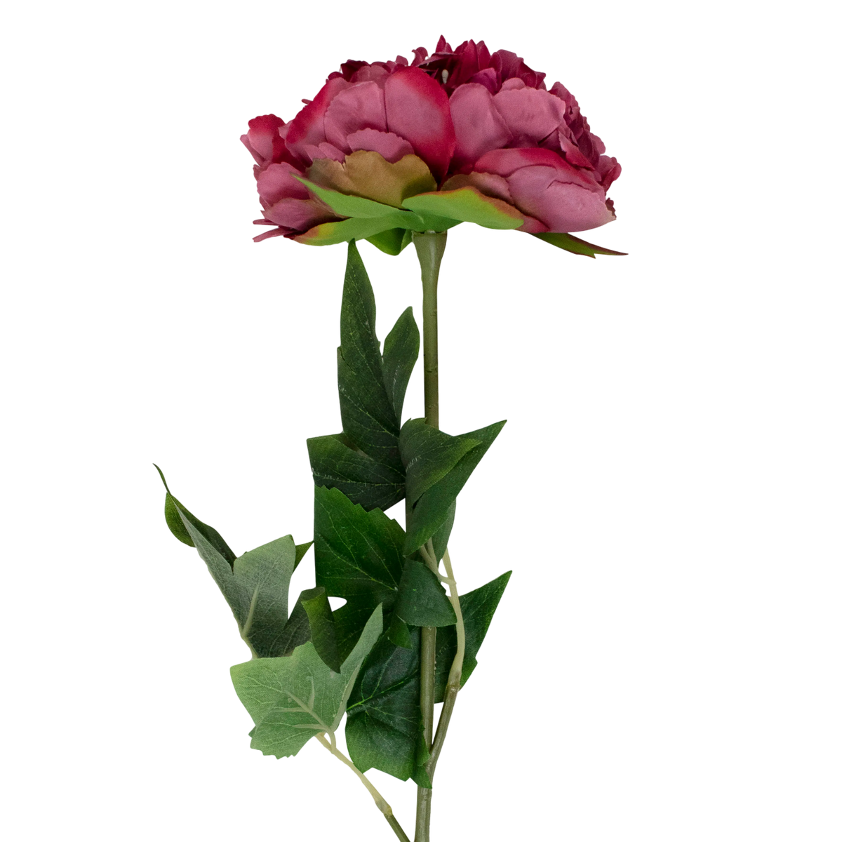 Flower peony red 79cm