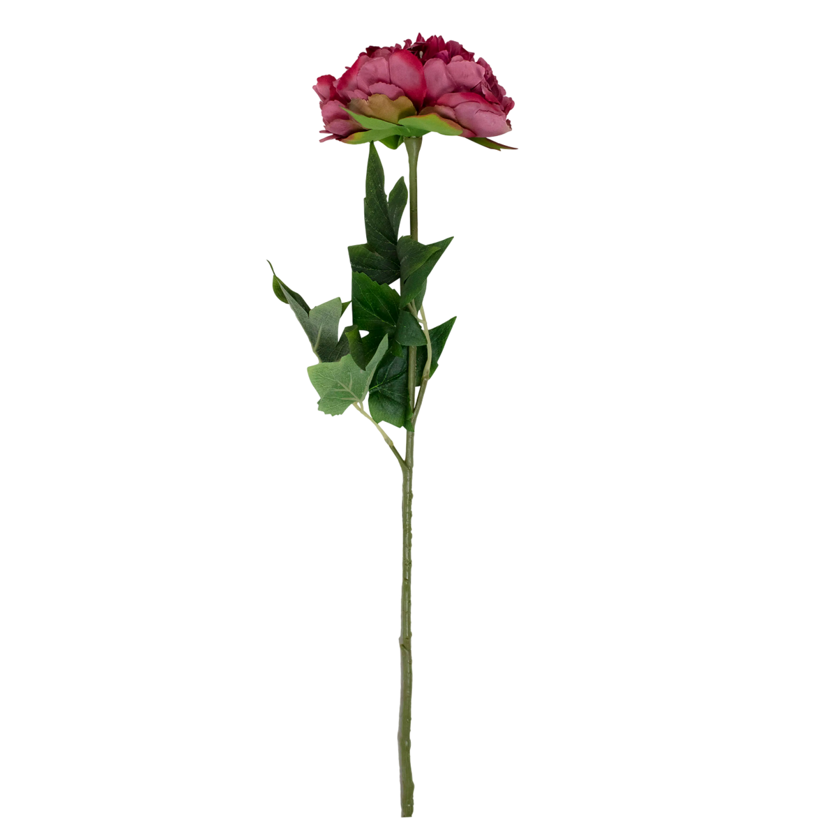 Flower peony red 79cm