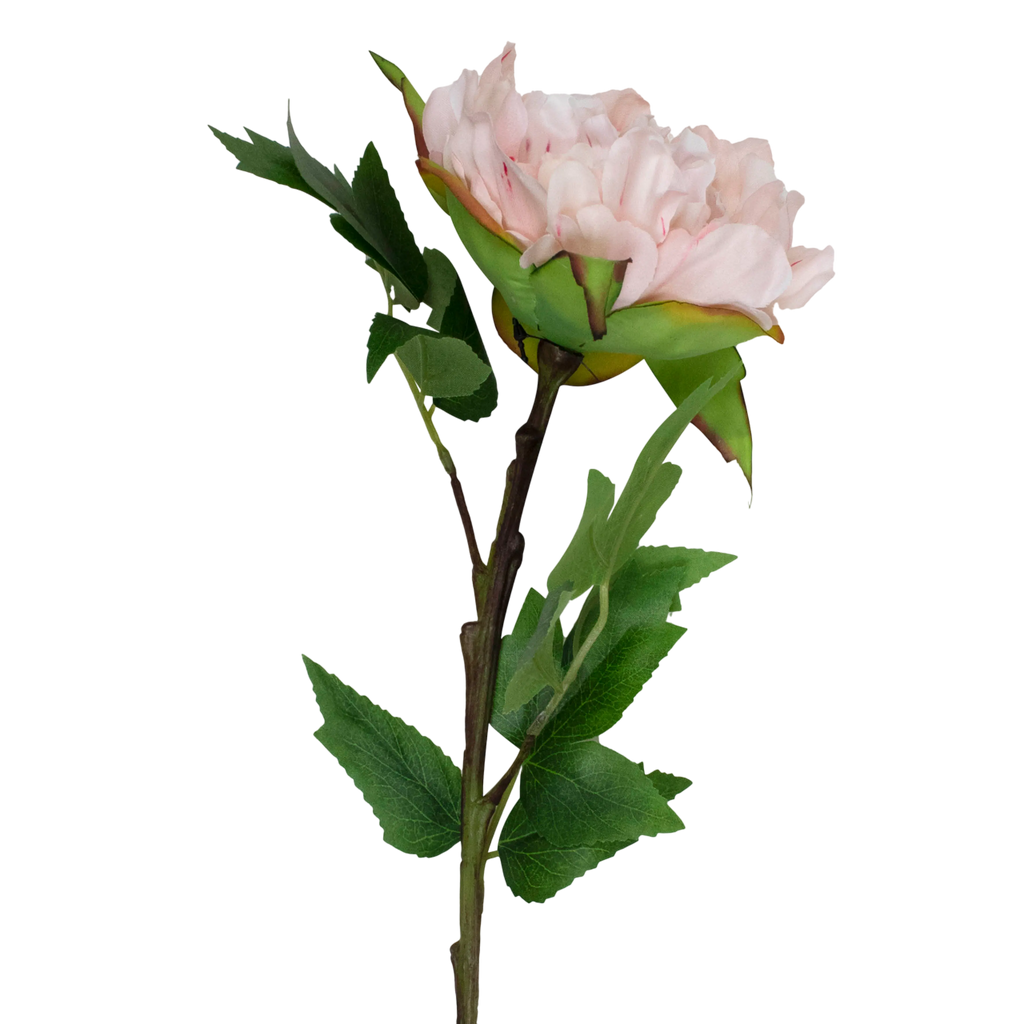 Flower peony light pink 66cm