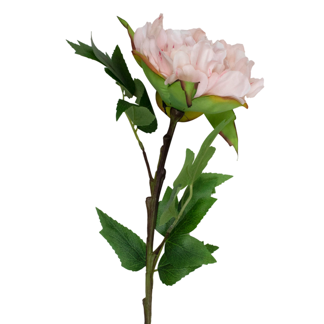 Flower peony light pink 66cm
