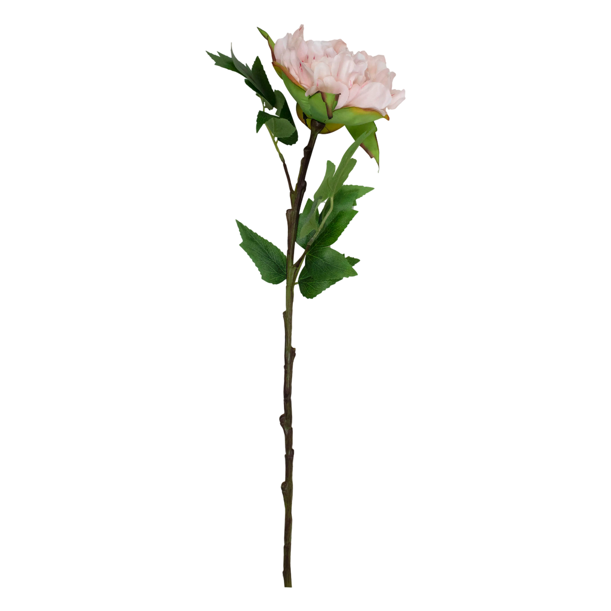 Flower peony light pink 66cm