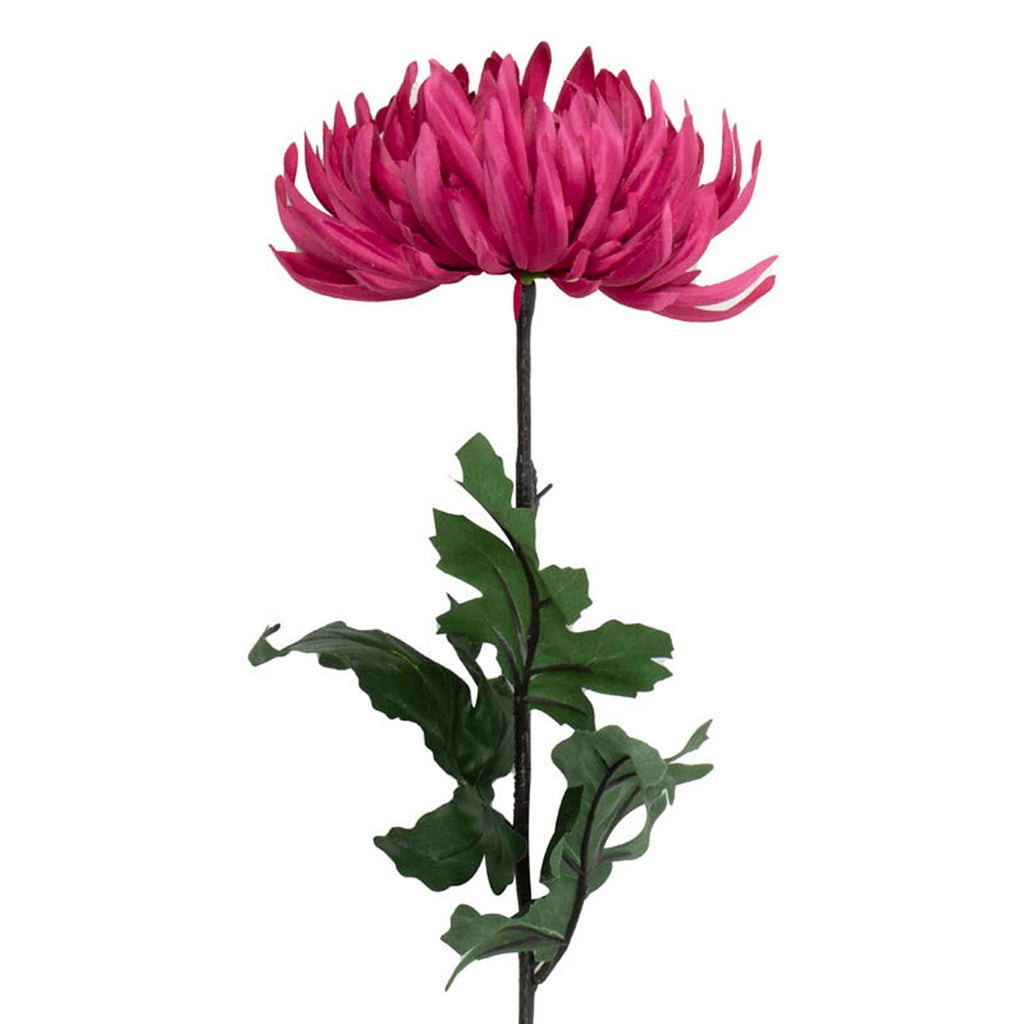 Flower crysanthemum fuchsia 60cm