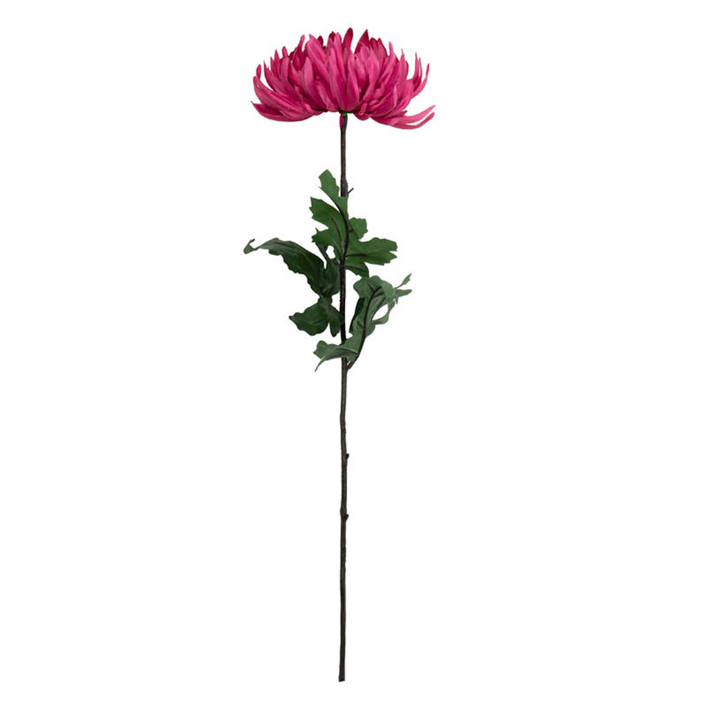 Flower crysanthemum fuchsia 60cm