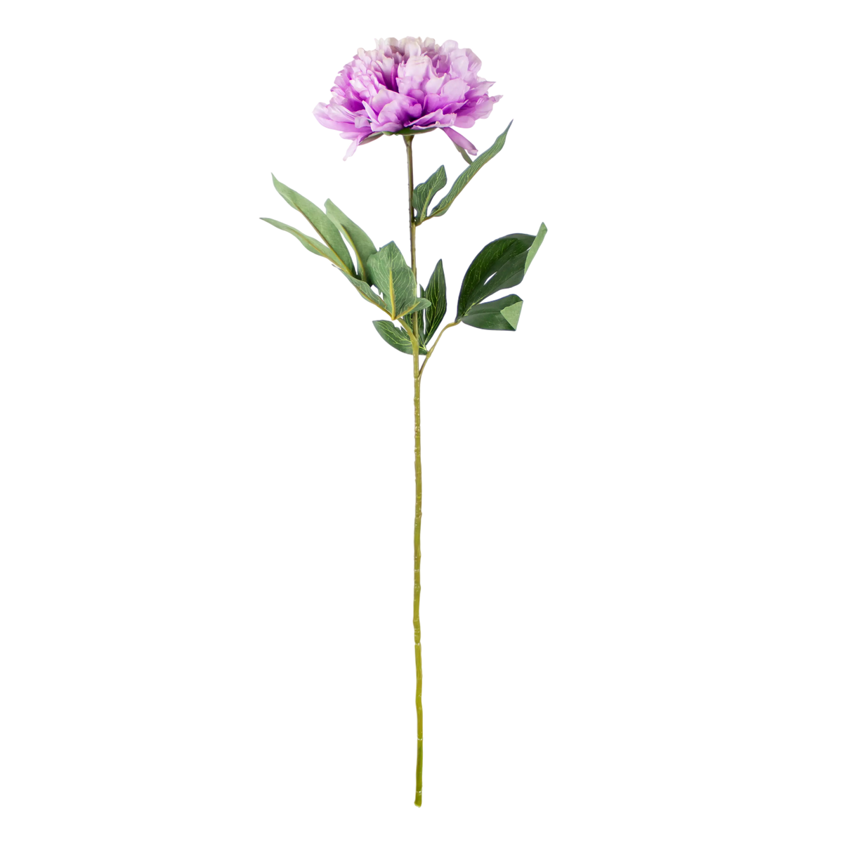 Flower peony light purple 80cm