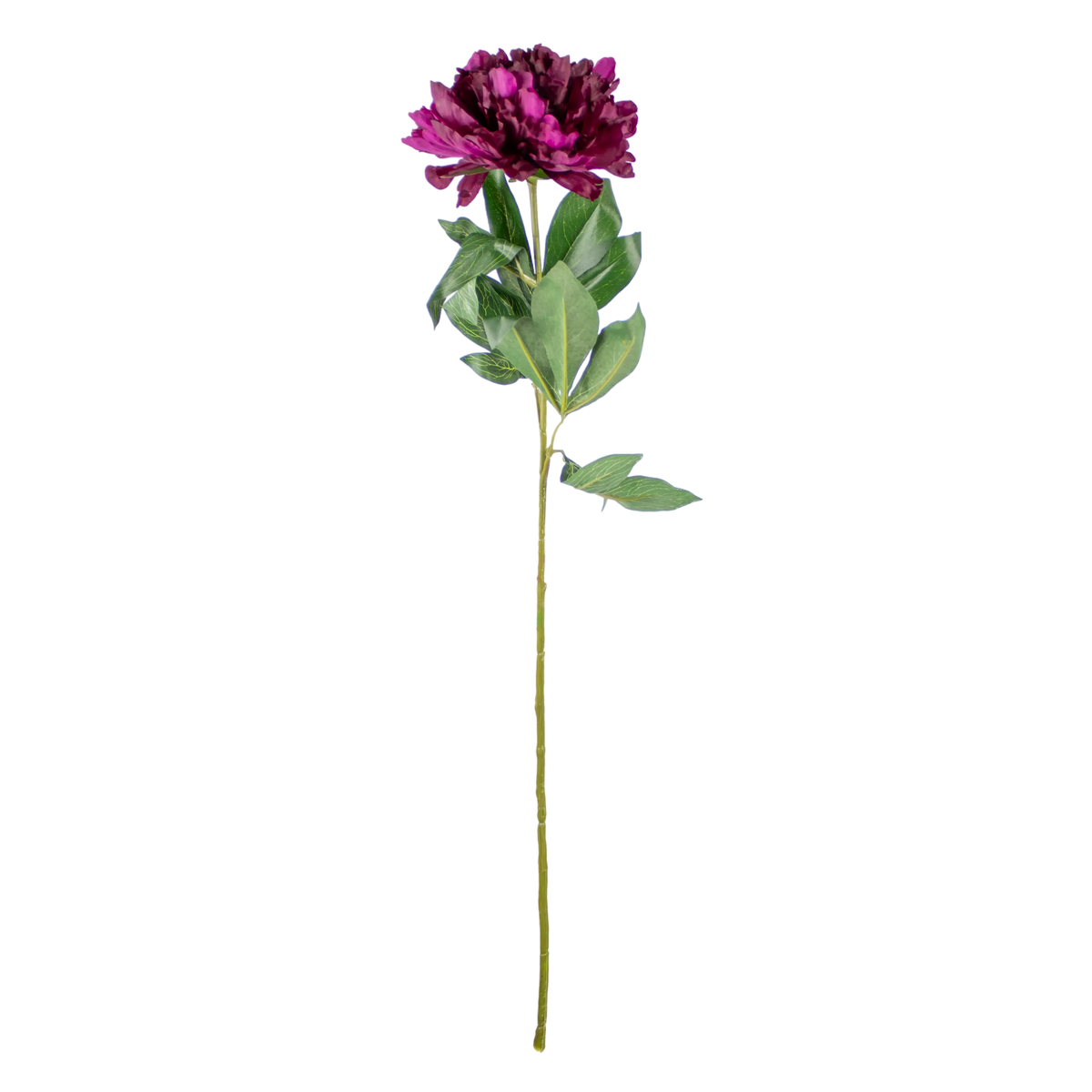 Flower peony fuchsia 80cm