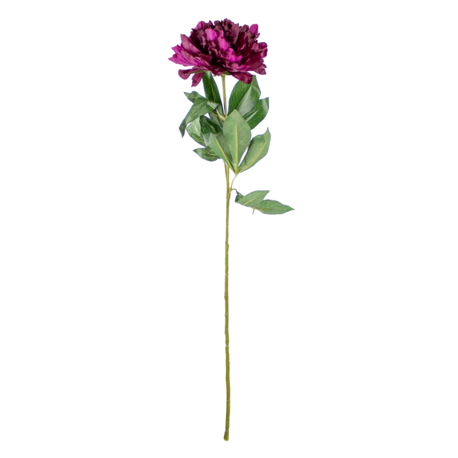 Flower peony fuchsia 80cm