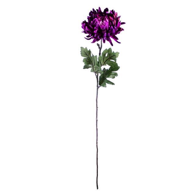 Flower crysanthemum purple 60cm