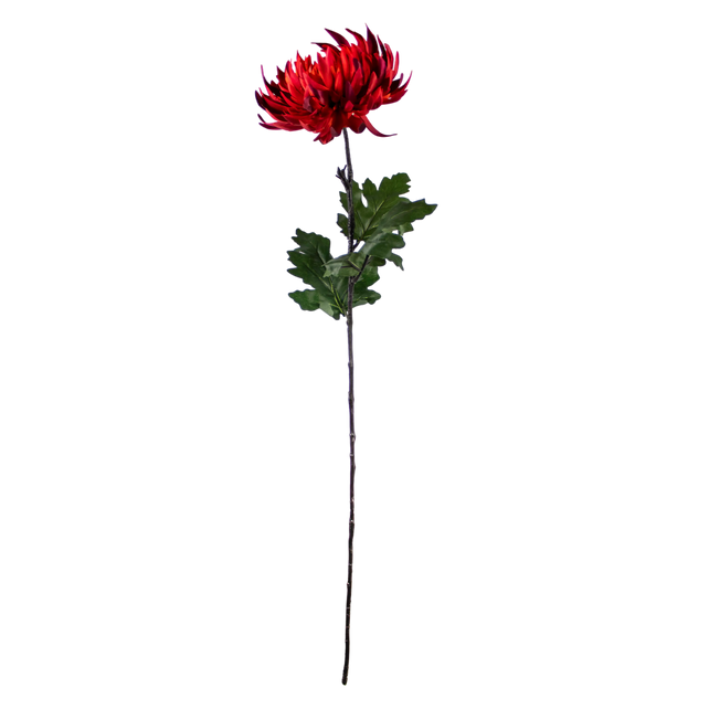 Flower crysanthemum red 60cm