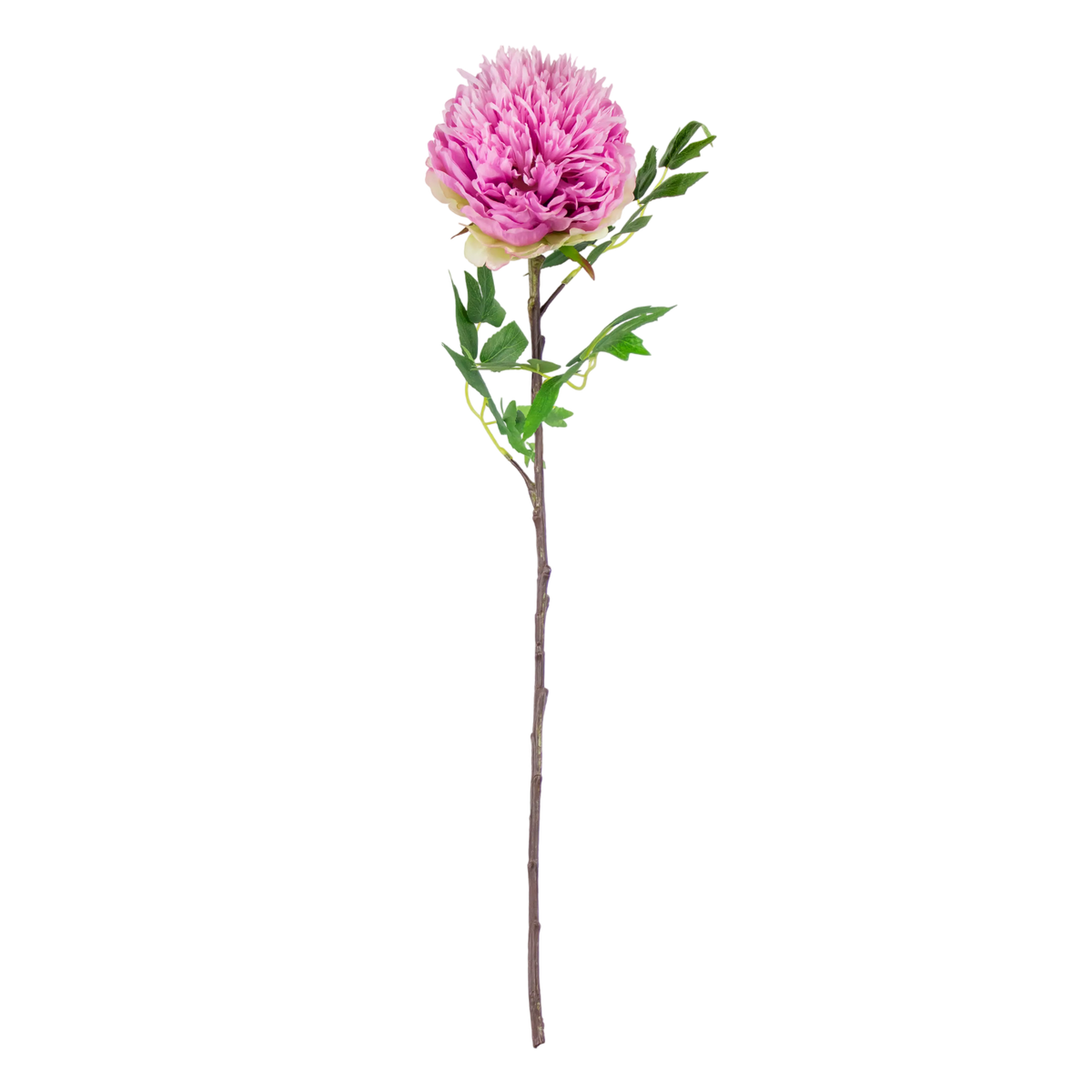 Flower peony pink 70cm