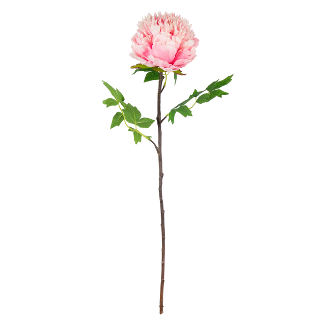 Flower peony light pink 70cm