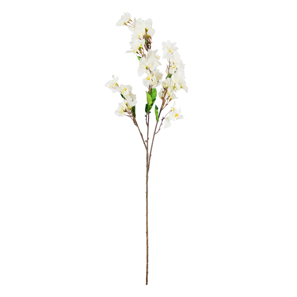 Flower bougainvillea white 105cm