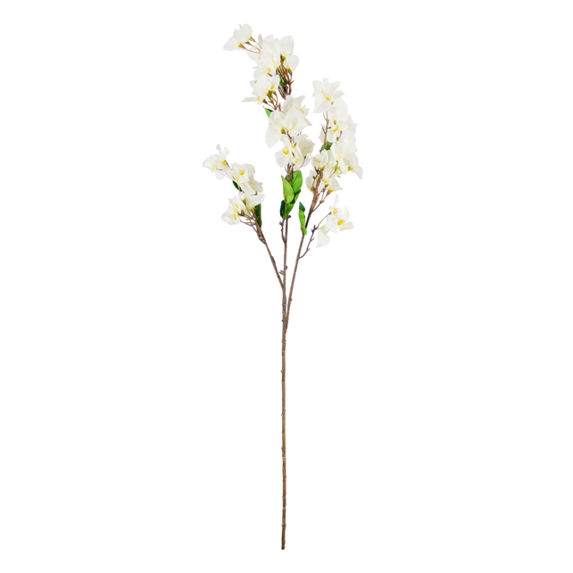 Flower bougainvillea white 105cm