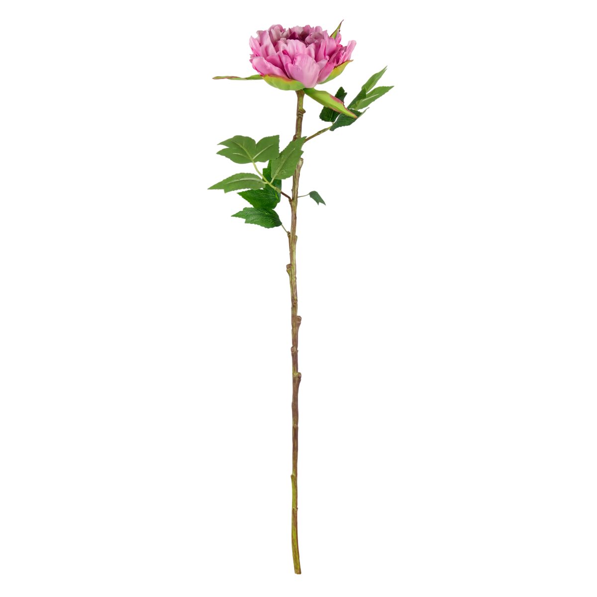 Flower peony pink 65cm