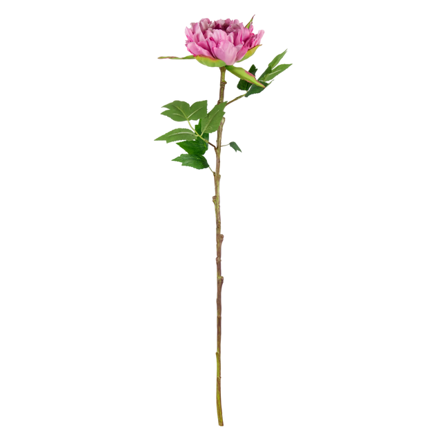 Flower peony pink 65cm