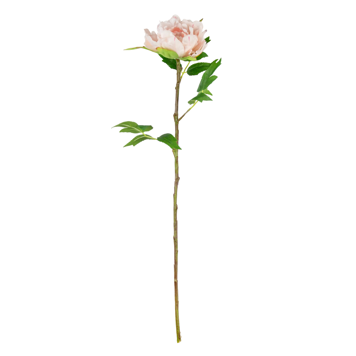 Flower peony light pink 65cm