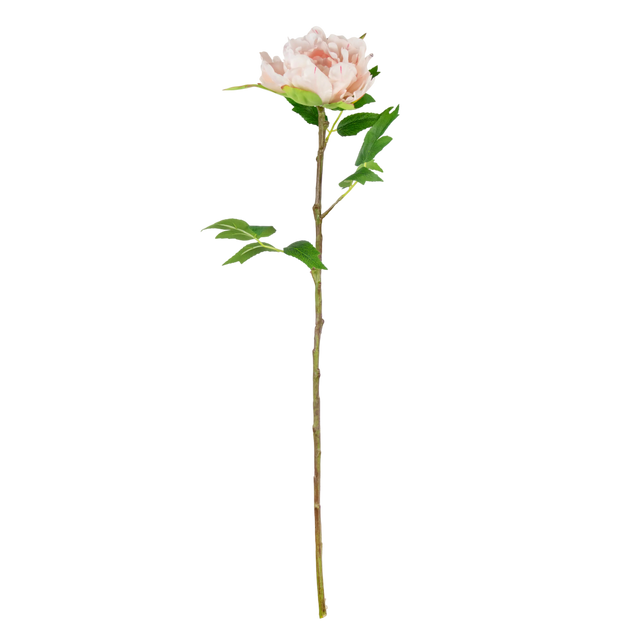 Flower peony light pink 65cm