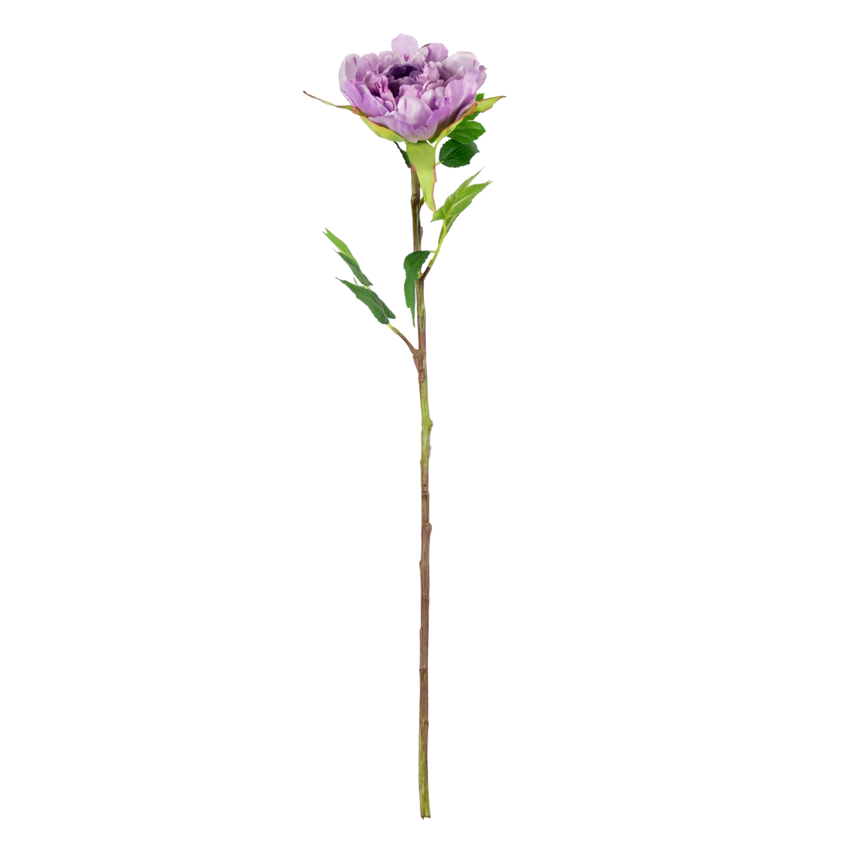 Flower peony light purple 65cm