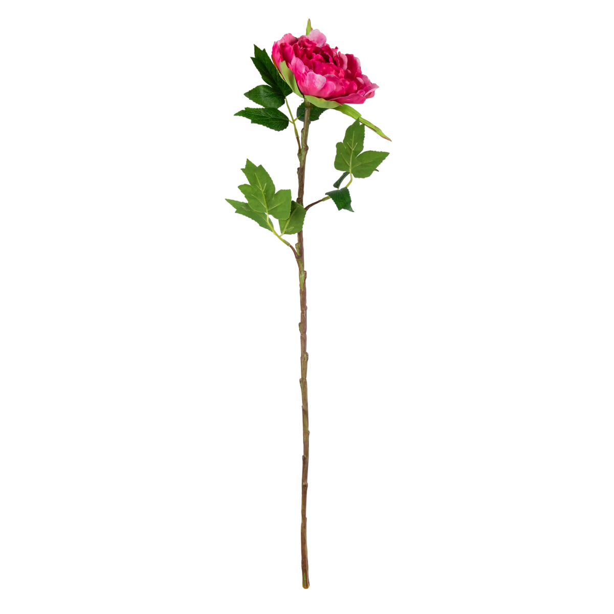 Flower peony fuchsia 65cm